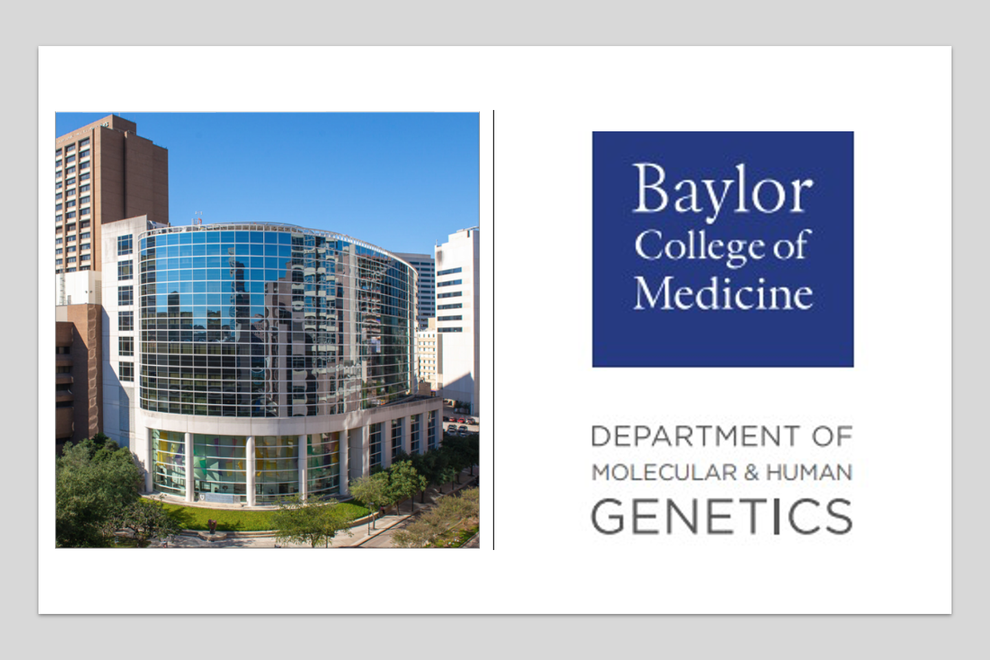 Faculty appointment in the Department of Molecular and Human Genetics, Baylor College of Medicine