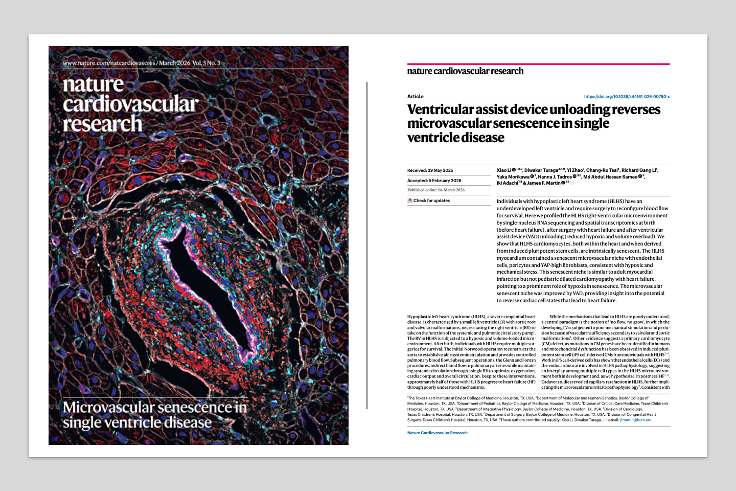 New paper in Nature Cardiovascular Research: VAD unloading reverses microvascular senescence
